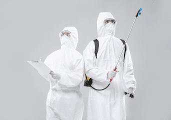 객실 및 공용공간 해충 출몰로 고객 컴플레인이 발생해요